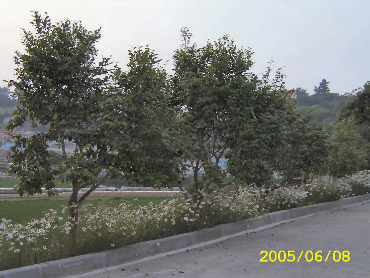 1 209.jpg